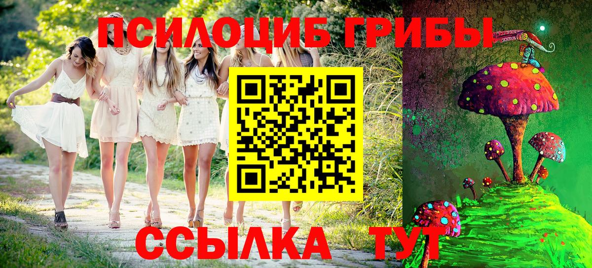 Псилоцибиновые грибы GOLDEN TEACHER  Вход с VPN  Ртищево 
