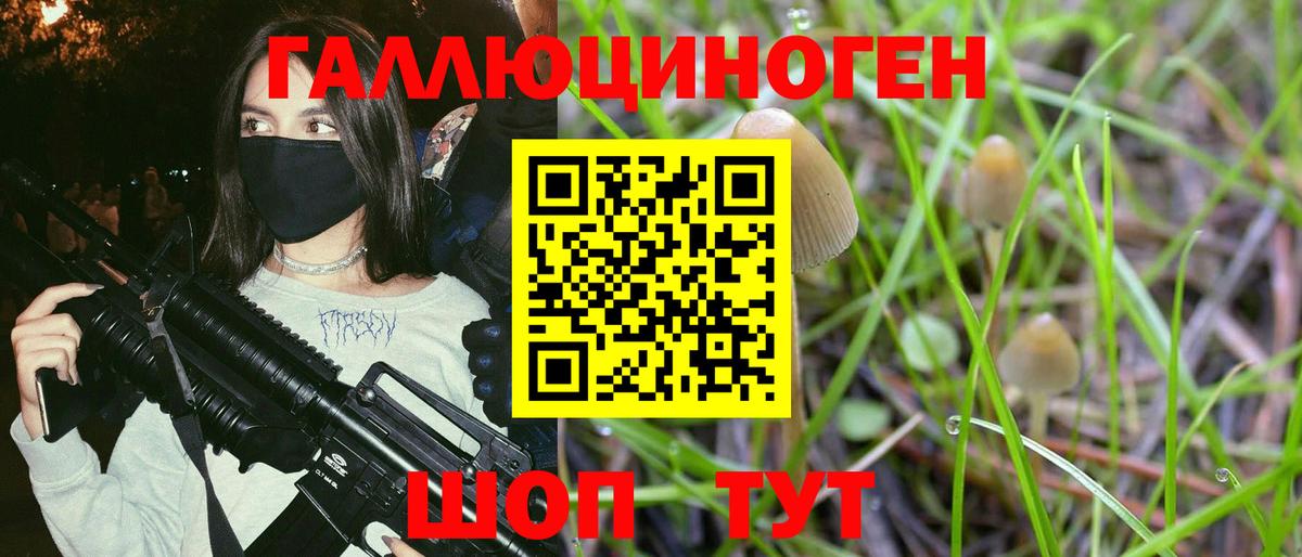 Галлюциногенные грибы Magic Shrooms Ртищево